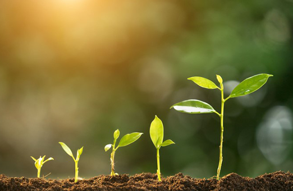 Environmental Monitoring and Analysis