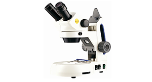 Hobbyist stereo Microscope