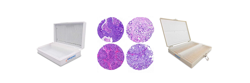 Positive Control Slides