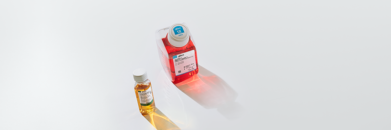 Shop cell culture media, sera, and reagents