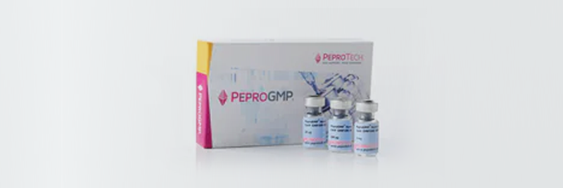 Shop recombinant proteins