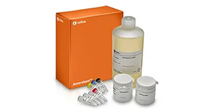 Nucleic Acid Blotting and Detection