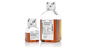 Cell Culture Serum Products