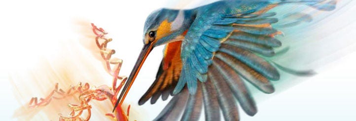 Successful downstream analysis depends on high-quality, reproducible purification of nucleic acids, proteins and cells. Thermo Scientific KingFisher purification systems are designed to deliver high-quality samples with minimal hands-on time, helping you optimize your workflow.